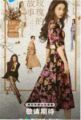 黑帮律师在线播放