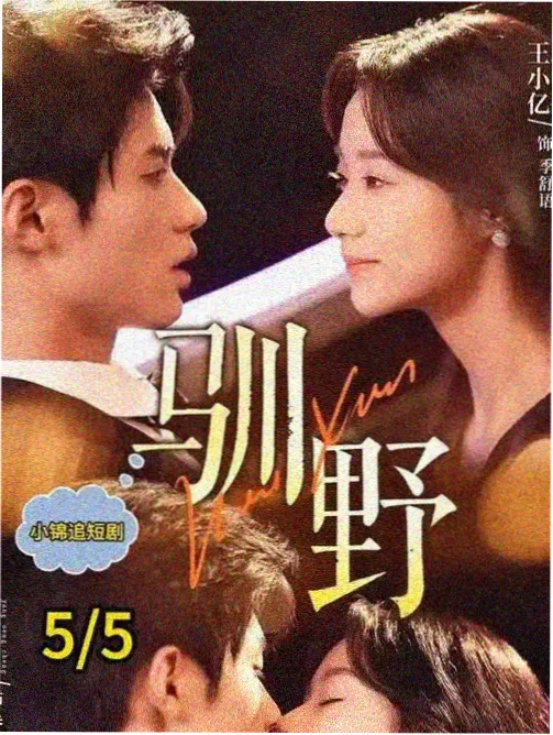 秘密森林在线播放